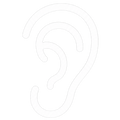 Auditory & Nerve Support